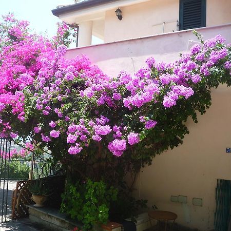 Villa Panthea Capo Vaticano Exterior photo